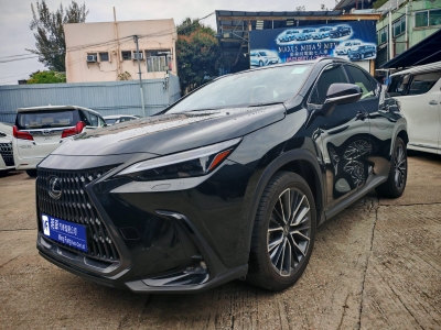 NX250,凌志 Lexus,2023,BLACK 黑色,5