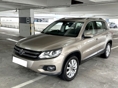 Tiguan,福士 Volkswagen,2013,GOLD 金色,5