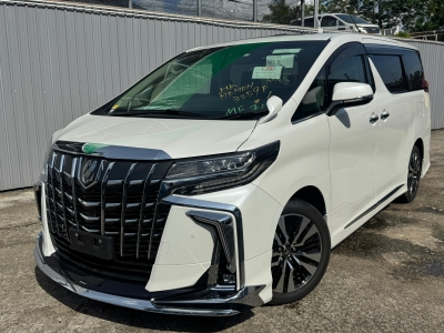  ALPHARD SC 3.5 MODELLISTA,豐田 Toyota,2022,WHITE 白色,7
