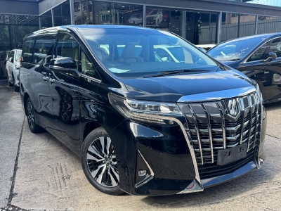  ALPHARD GF 3.5,豐田 Toyota,2019,BLACK 黑色,7