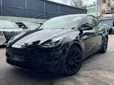  MODEL Y PERFORMANCE DUAL,特斯拉 Tesla,2022,BLACK 黑色,5