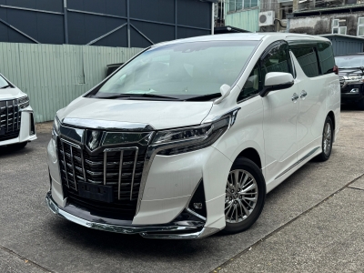 ALPHARD GF 3.5 MODELLISTA,豐田 Toyota,2019,WHITE 白色,7