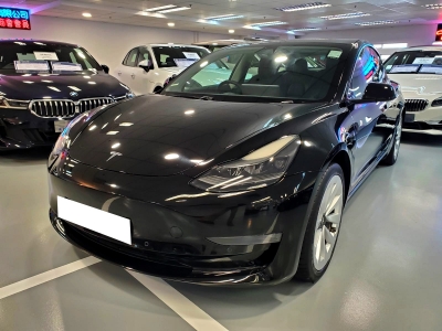 Model 3 LRD,特斯拉 Tesla,2021,BLACK 黑色,5