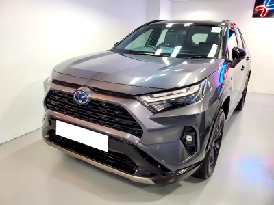  Rav4,豐田 Toyota,2022,GREY 灰色,5