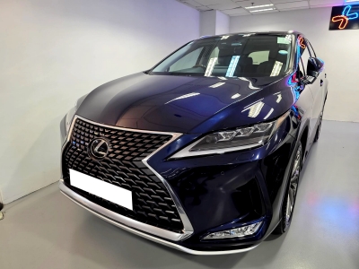 RX300,凌志 Lexus,2019,BLUE 藍色,5