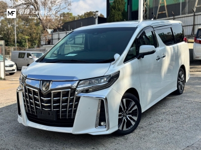  ALPHARD SC 3.5 無天窗,豐田 Toyota,2019,WHITE 白色,7