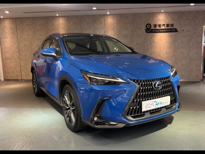 NX250,凌志 Lexus,2022,BLUE 藍色,5