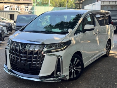  ALPHARD SC 2.5 MODELLISTA,豐田 Toyota,2018,WHITE 白色,7