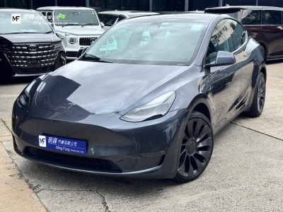  MODEL Y PERFORMANCE DUAL,特斯拉 Tesla,2022,GREY 灰色,5