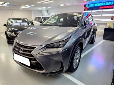  NX300H,凌志 Lexus,2014,GREY 灰色,5