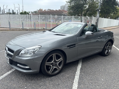 SLK250,平治 Mercedes-Benz,2011,GREY 灰色,2