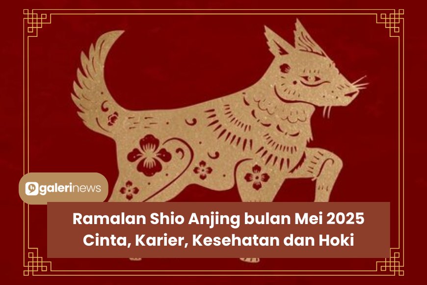 Ramalan Shio Anjing Bulan Mei 2025 Tentang Karier, Cinta, Kesehatan dan Hoki