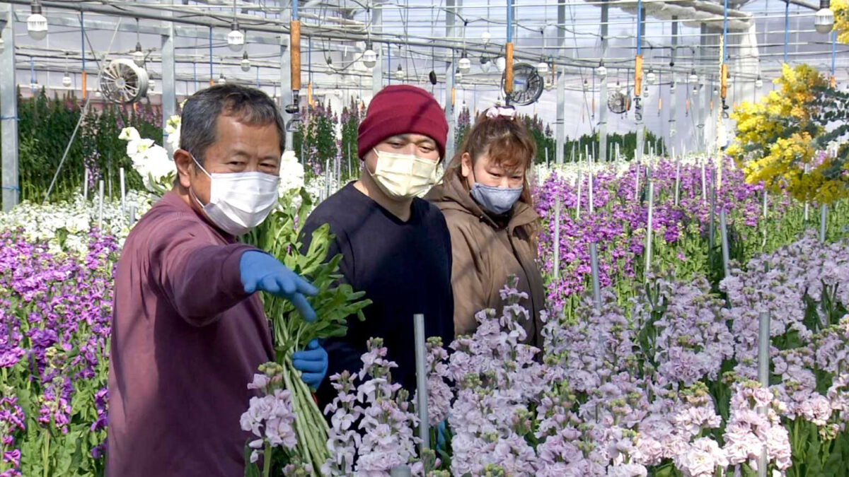 Ngành nghề mới ở Fukushima