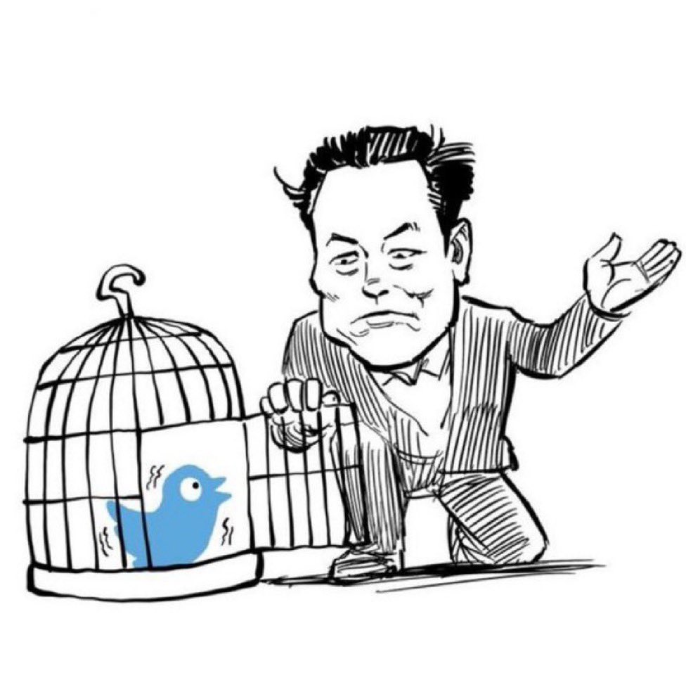 Elon Musk and Twitter bird