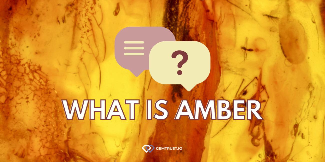 Amber: A Unique Treasure from the Past