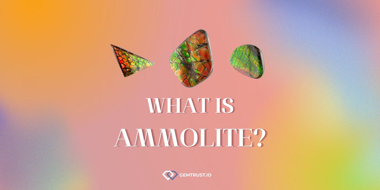 What is Ammolite?