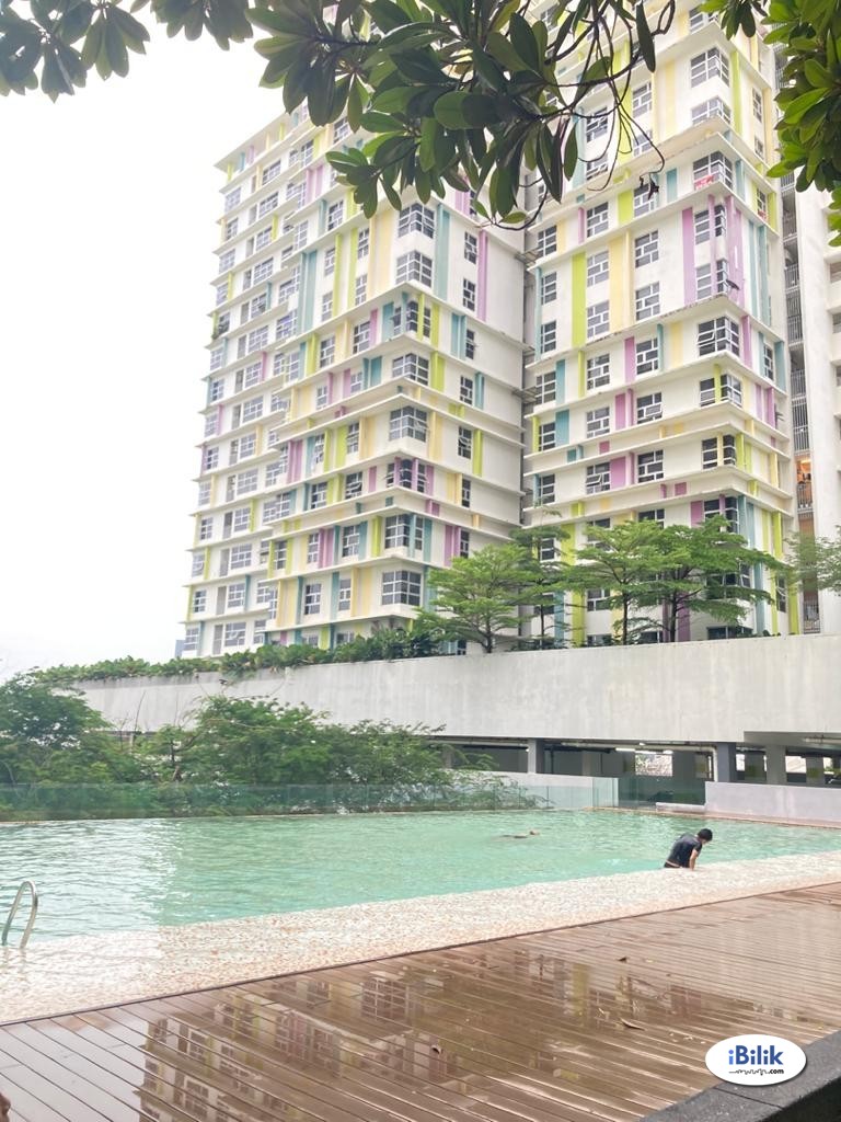 Find Room For Rent/Homestay For Rent Single Room at The Domain, Cyberjaya