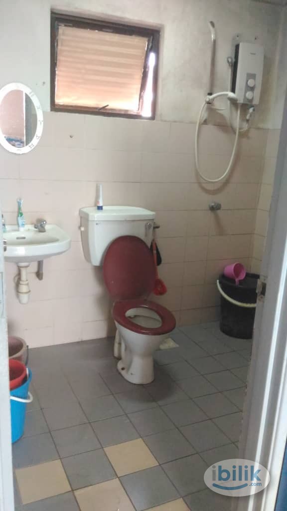 Single Room To Let Room For Rent in