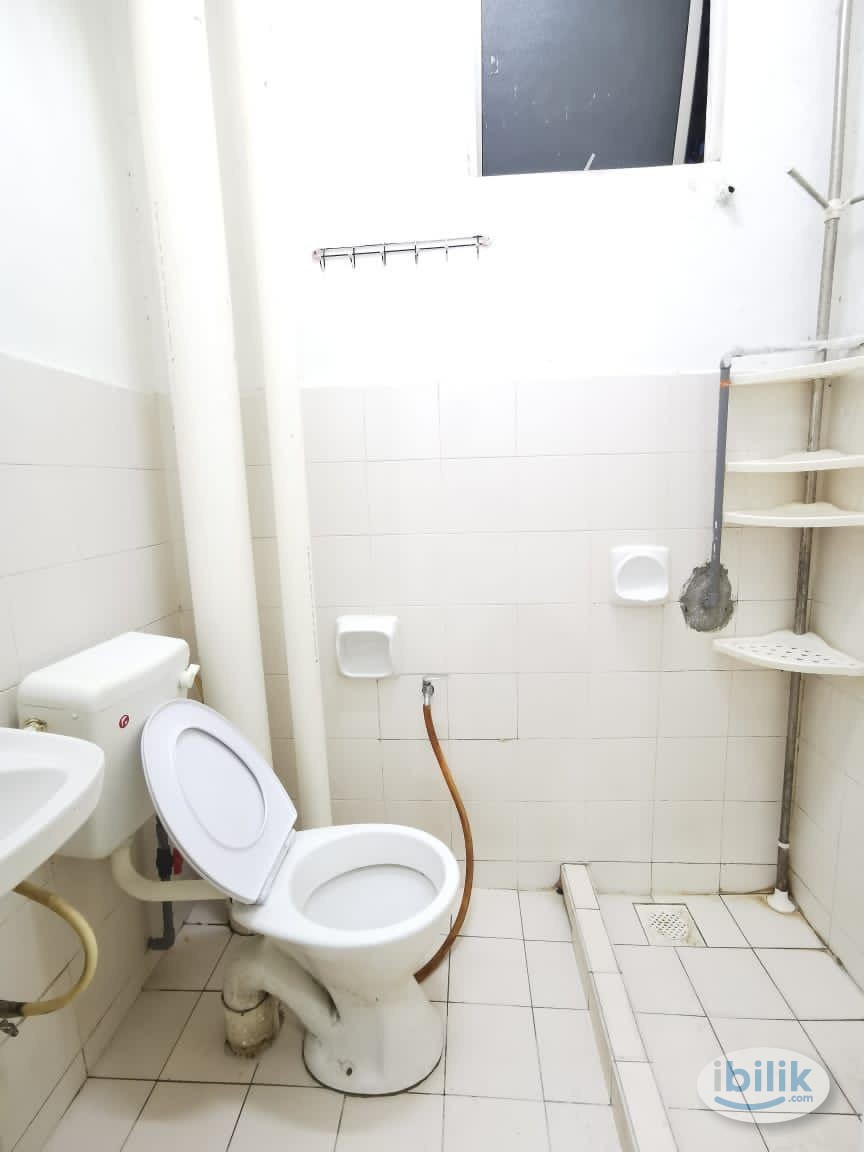 Sunway Female Non Sharing Single Room Lagoon Perdana Near Pyramid, Geo