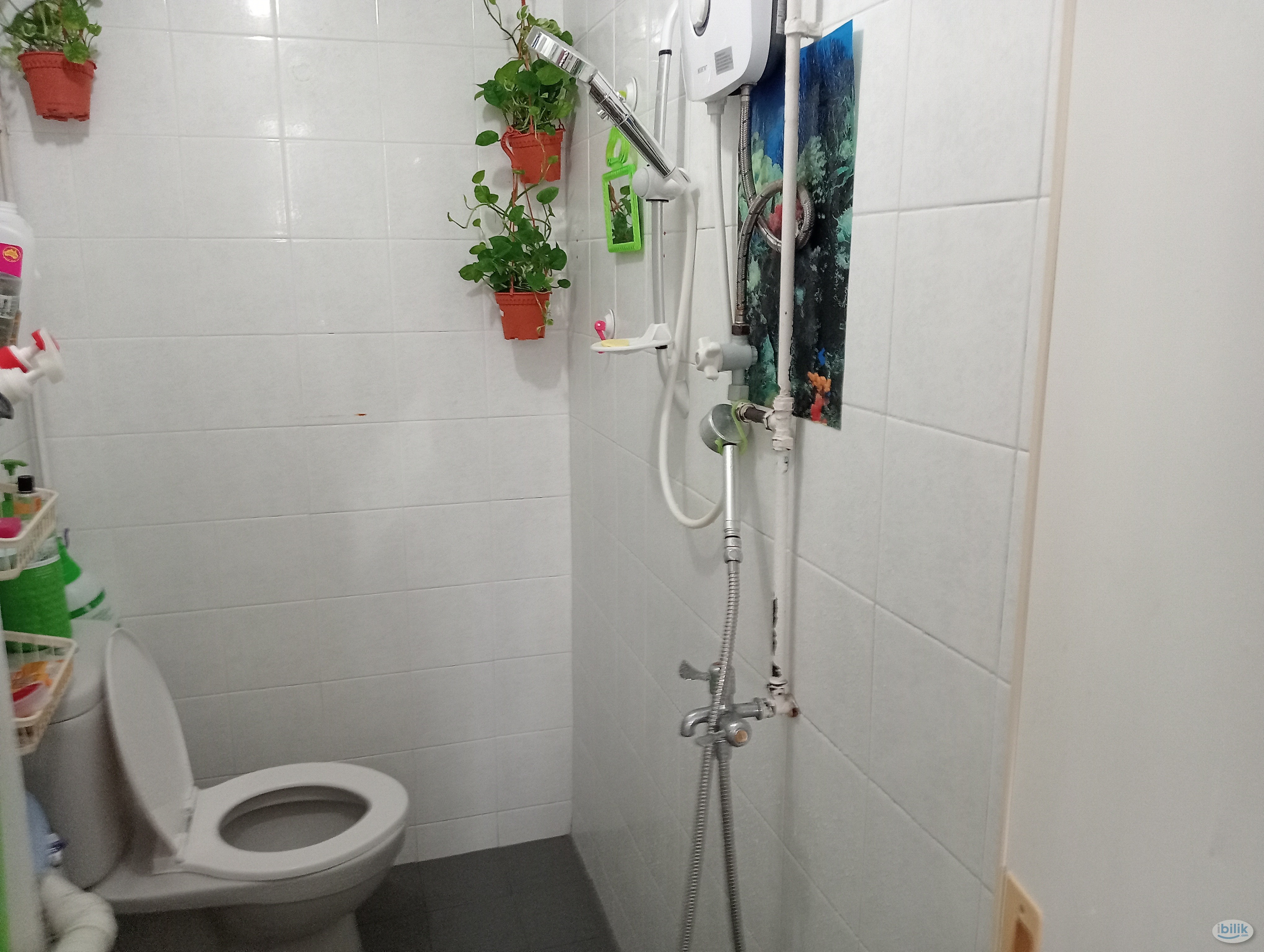 Image 2 of Room for rent - Room rental in 