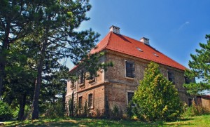 Castle Slos