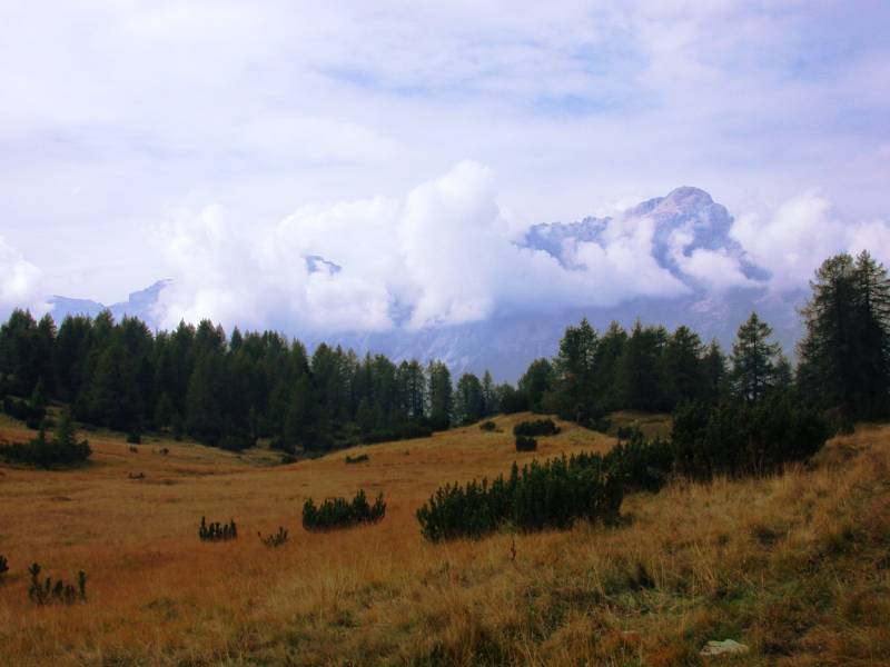 Ai_piedi_del_Monte_Pelmo_-_panoramio.jpg