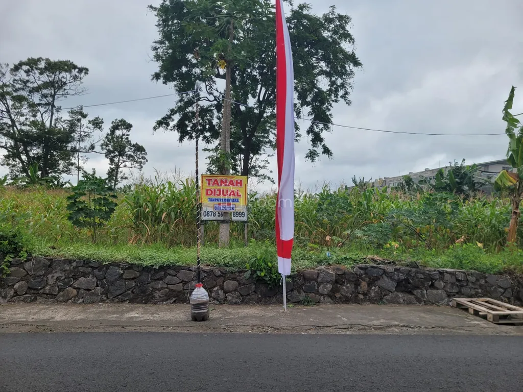 Dijual Tanah Luas 5972m² di Lokasi Strategis Dieng Atas Malang – Investasi Impian!