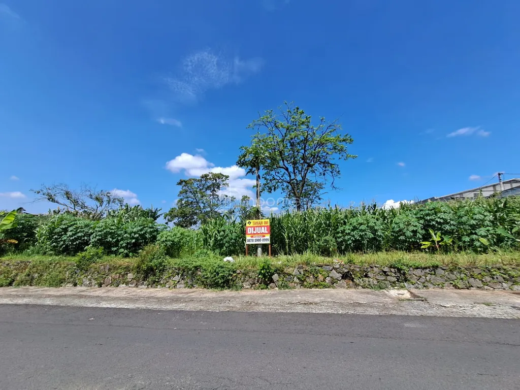 Dijual Tanah Luas 5972m² di Lokasi Strategis Dieng Atas Malang – Investasi Impian!
