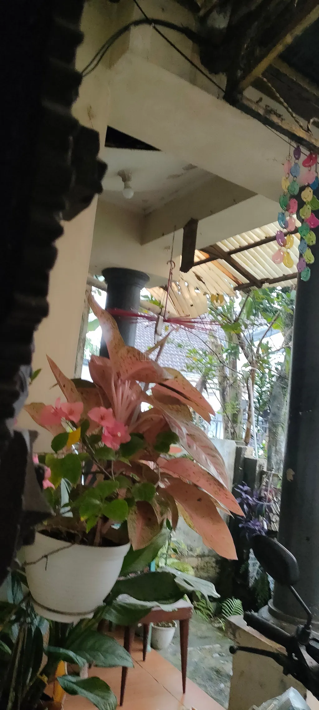 Rumah diatas bukit kota Bogor