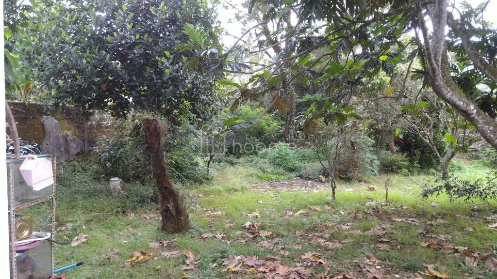 Tanah luas ± 3.300m² Pinggir Jalan Raya Karang Tengah Cibadak Sukabumi