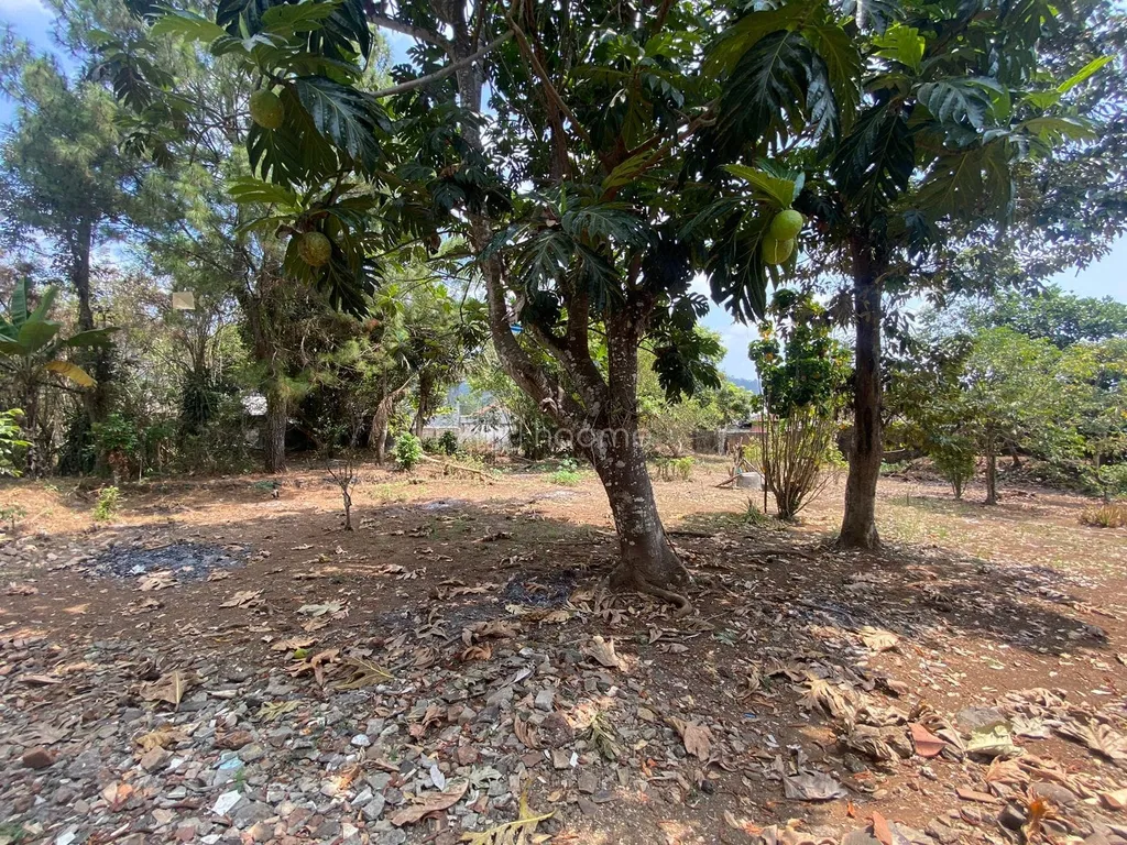 Tanah luas ± 3.300m² Pinggir Jalan Raya Karang Tengah Cibadak Sukabumi