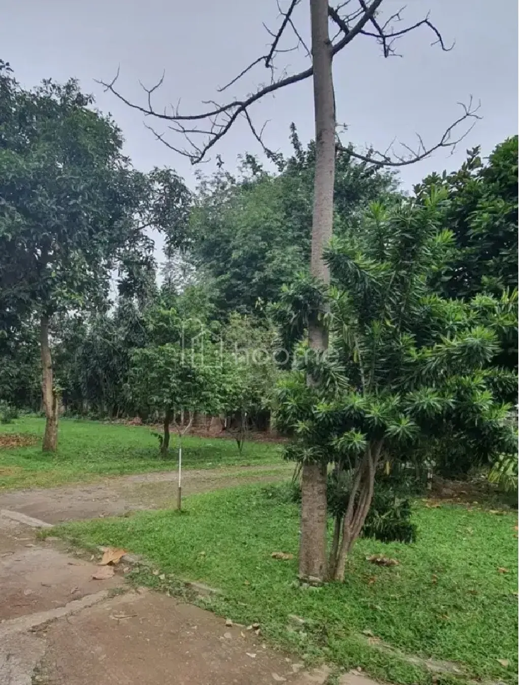 Jual Tanah RC Veteran Jakarta Selatan 