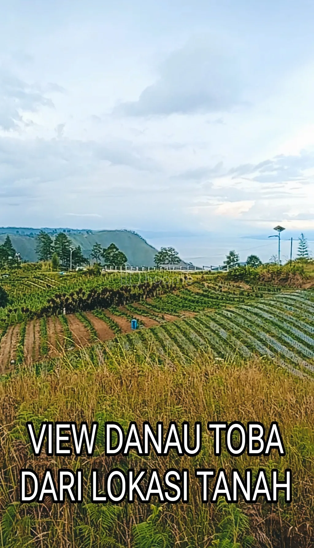 JUAL TANAH VIEW DANAU TOBA DAN BUKIT SIPISOPISO DIPINGGIR JALAN ASPAL (081264304189)