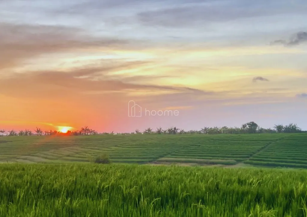 Lokasi Strategis Tanah SHM Di Tabanan