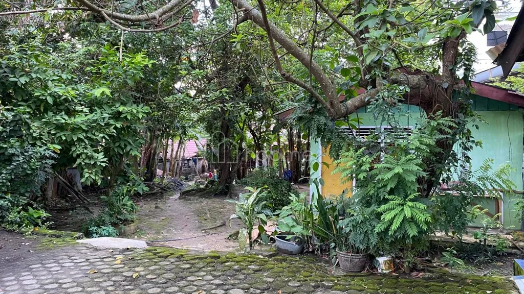 Di jual Rumah 2 Lantai + Bedeng 1 Pintu strategis