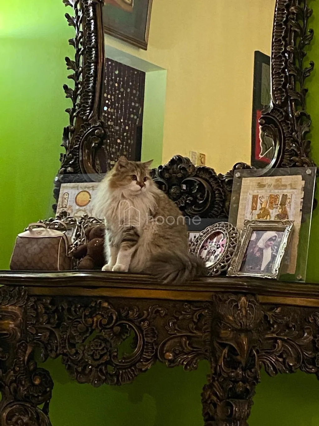 RUMAH STRATEGIS BEBAS BANJIR DI PETUKANGAN CILEDUG RAYA