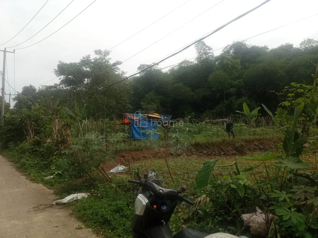 Dijual tanah kebun luas 1300m2 dekat oasis hills dan tamansari residence ciapus ogor