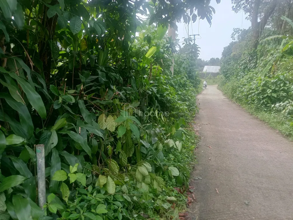 Dijual tanah kebun luas 1300m2 dekat oasis hills dan tamansari residence ciapus ogor