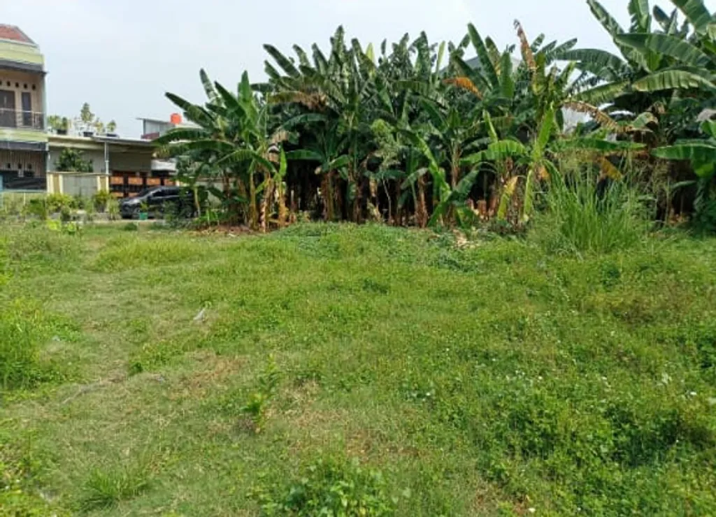 Foto BONDAN Property