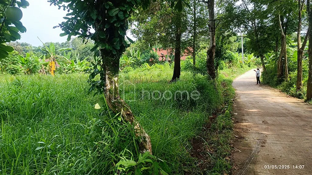 LAHAN STRATEGIS. SHM. CLEAR AND CLEAR. PINGGIR JALAN AKSES MOBIL. MUKA LEBAR