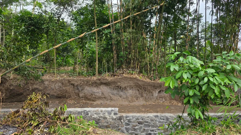 JUAL CEPAT! Tanah SHM Pekarangan Luas 2314 m² Lebar Depan 20 Meter di Ngelosari, Purwobinangun, Pakem, Sleman – Harga Rp 1,2 Juta/m² (Total ±Rp 2,776 Miliar) – Lokasi Alami, Air Mengalir Sepanjang Masa, Dekat 20+ Wisata Kaliurang!