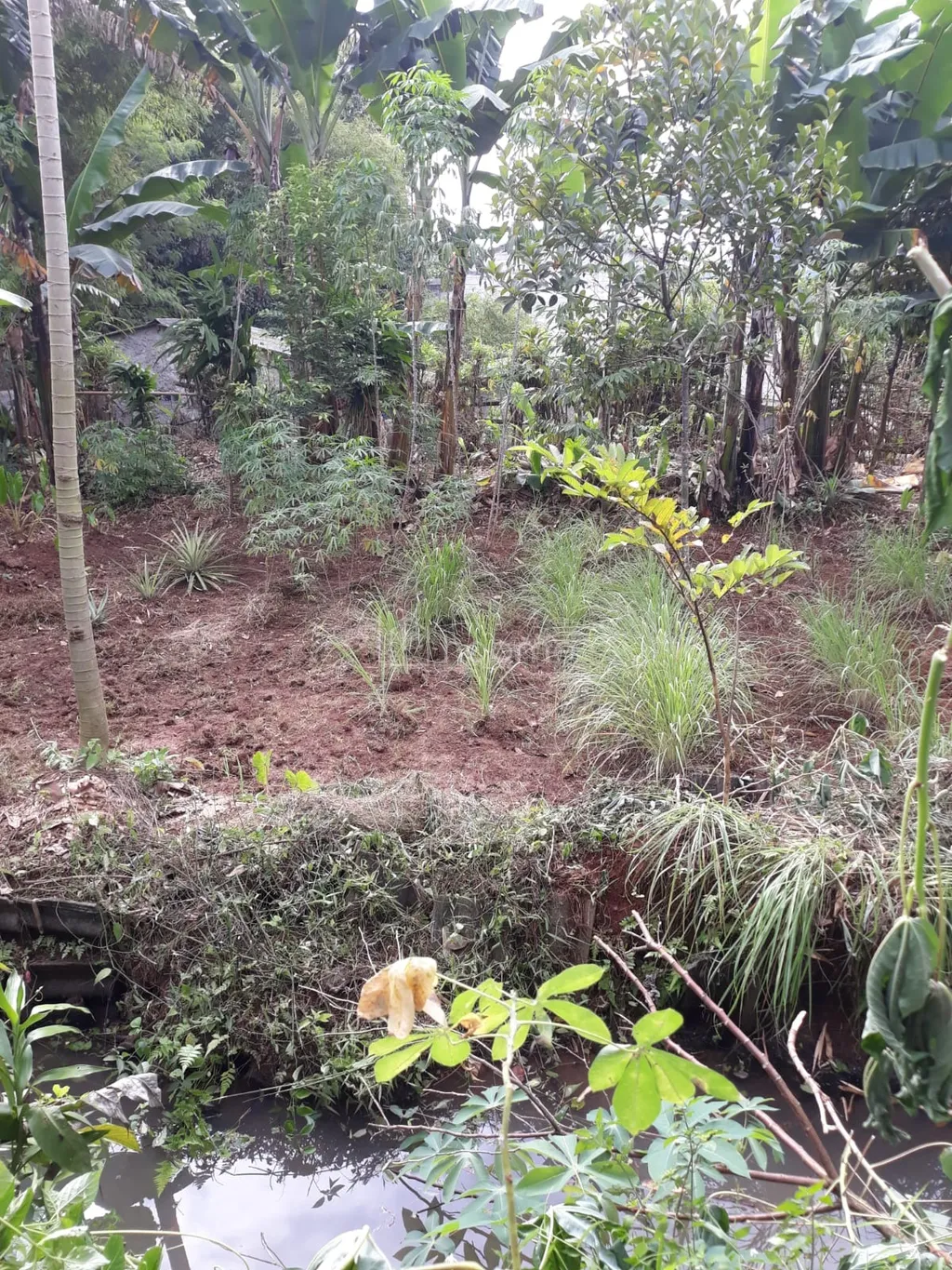 Jual cepat BU tanah SHM 1026 m2 di Parung-Bogor, tanpa perantara