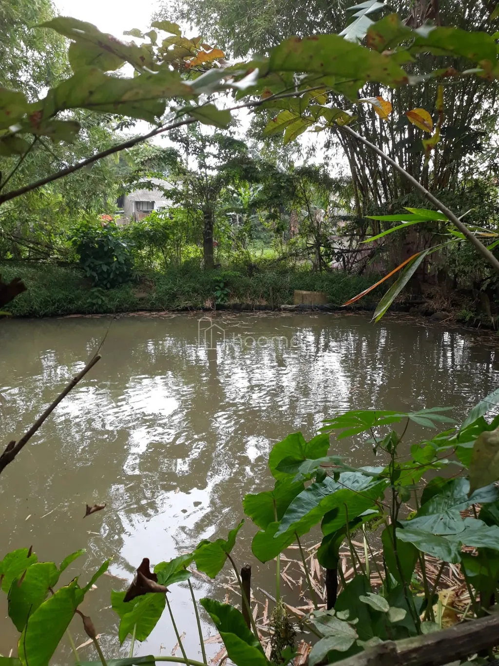 Jual cepat BU tanah SHM 1026 m2 di Parung-Bogor, tanpa perantara