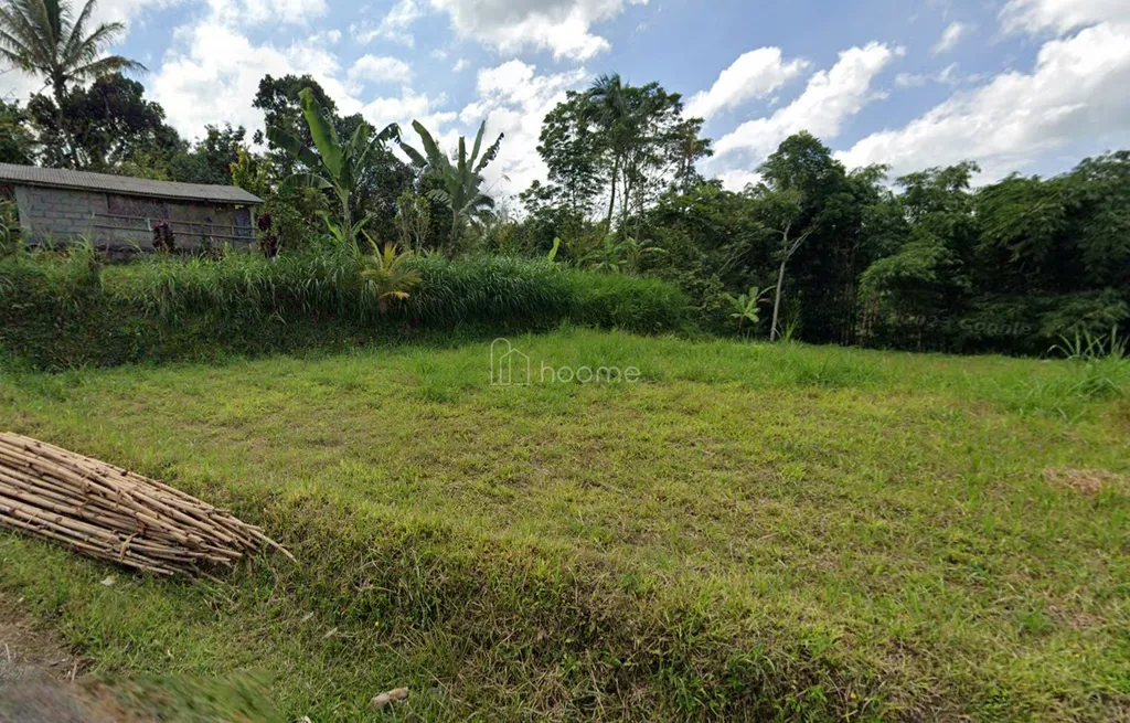 DIJUAL Tanah 784 m² - Tegalallang, Gianyar-Ubud, Bali