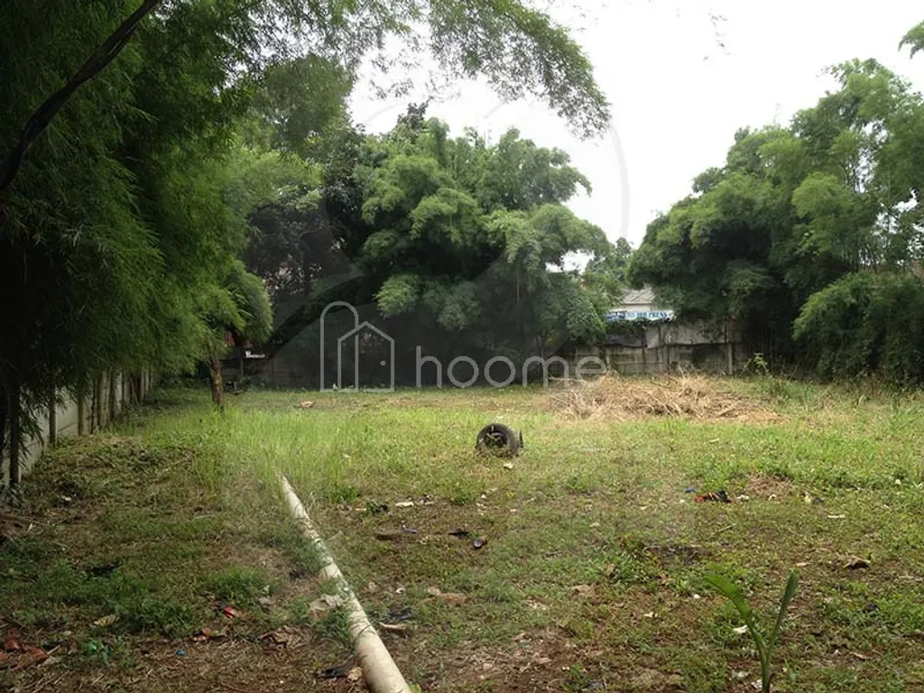 TANAH PINANG KALIJATI PONDOK LABU