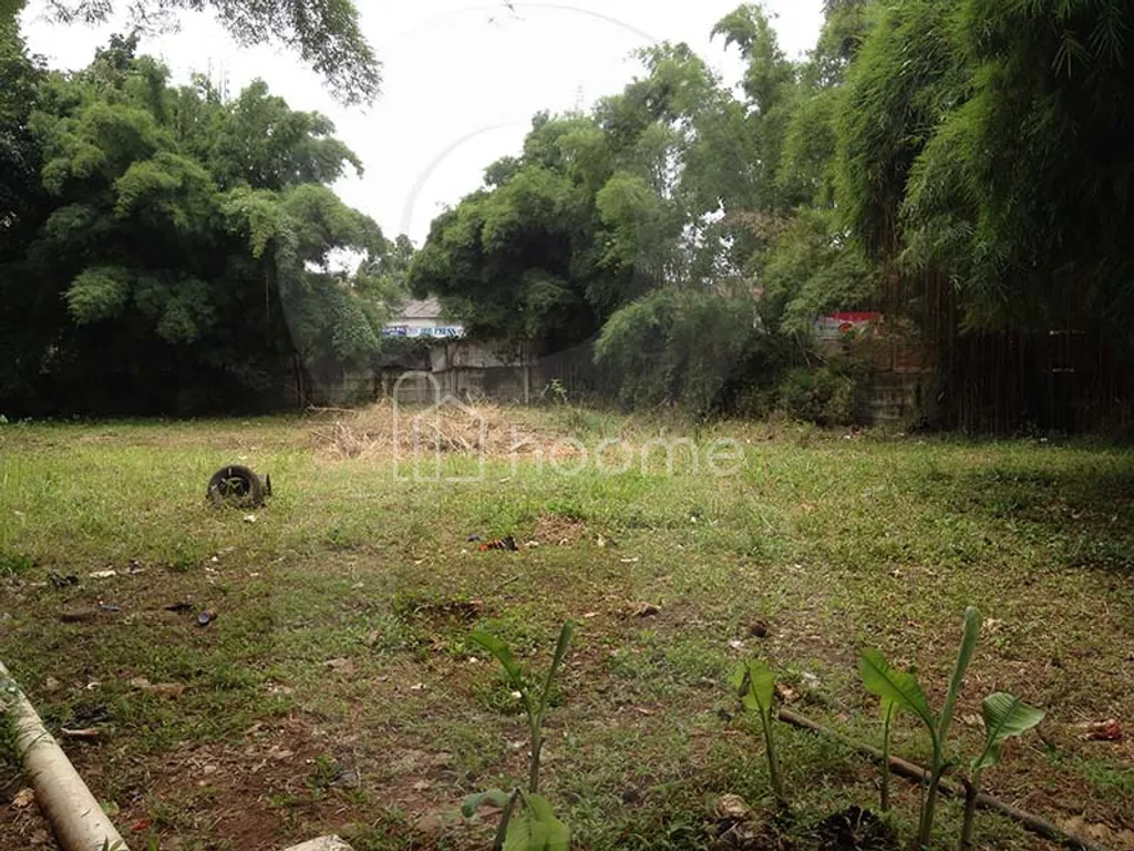 TANAH PINANG KALIJATI PONDOK LABU