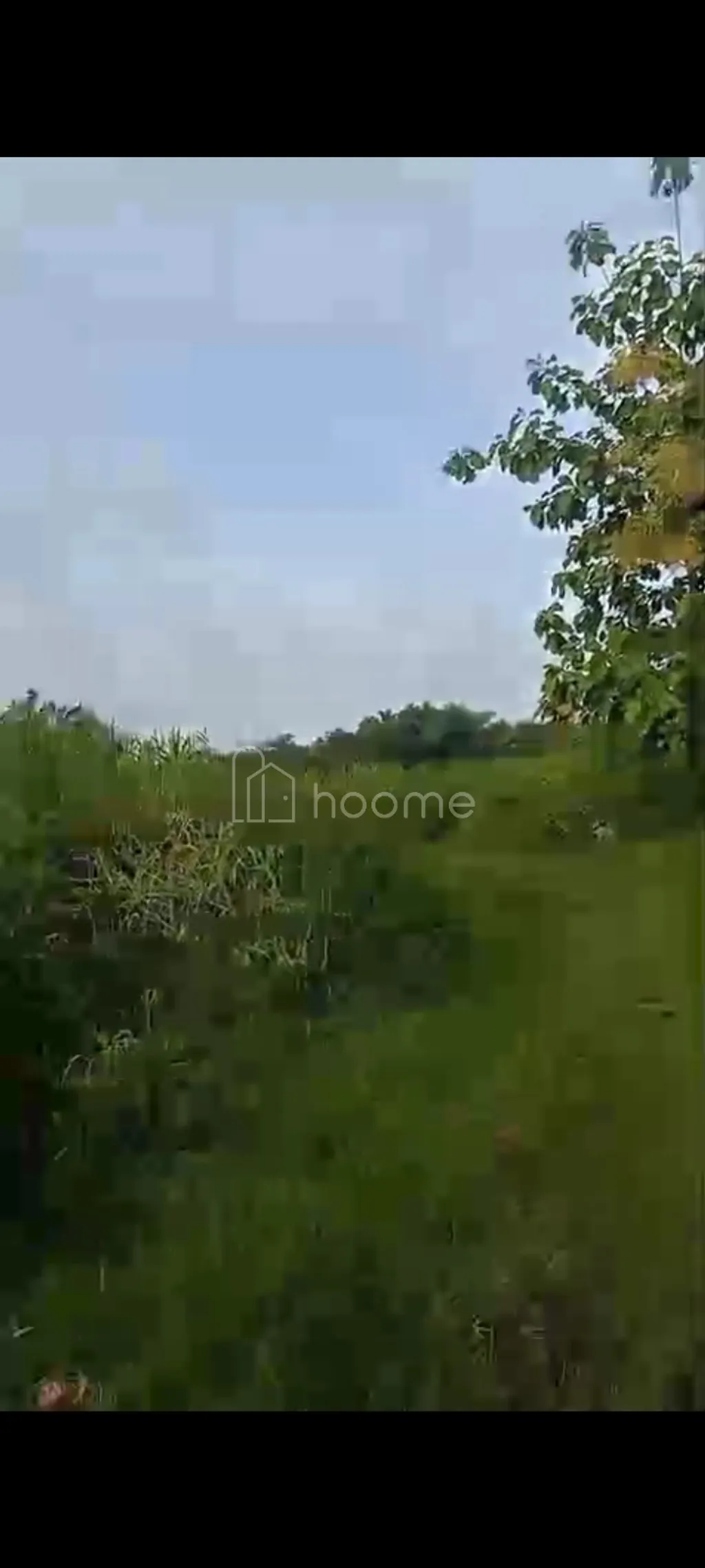 Dijual Tanah industri di Mojokerto 