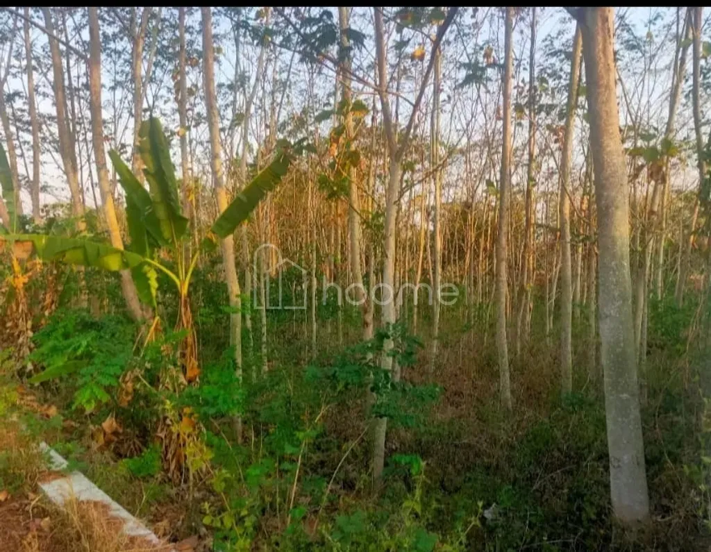 Dijual Tanah Solo Karanganyar untuk Gudang Bisa