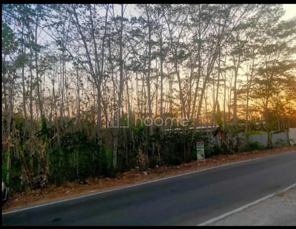 Dijual Tanah Solo Karanganyar untuk Gudang Bisa