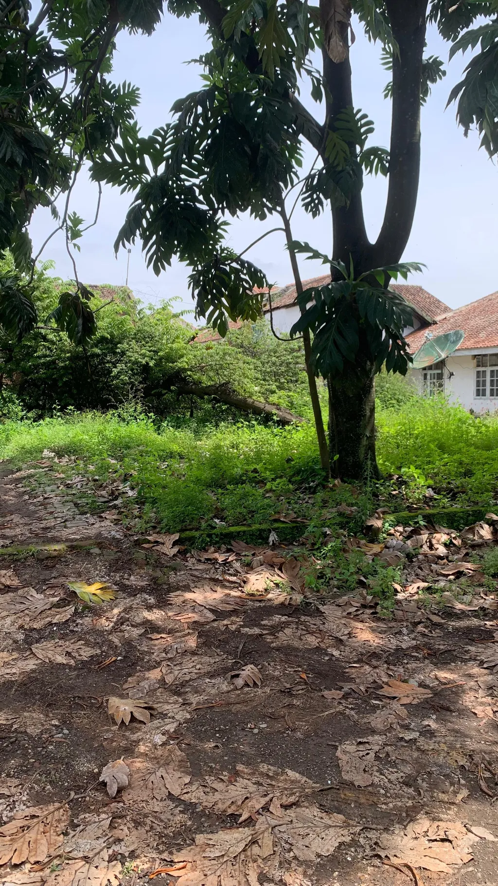 Rumah 1618m2 lokasi Premium Mainroad Garut Kota (Murah)